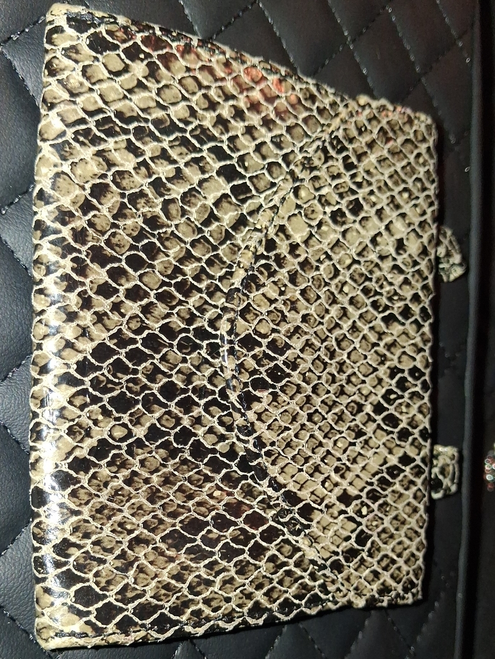 Real Snake Skin Belt Pouch